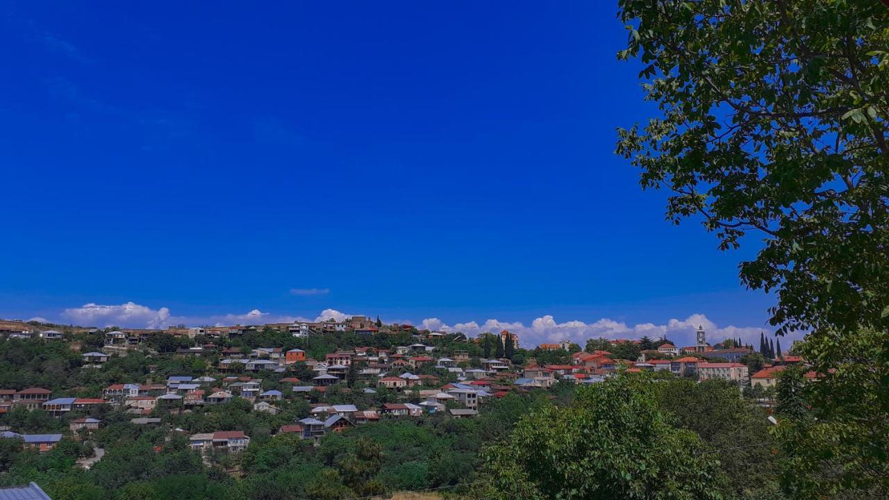 Guest House Maradona Sighnaghi Extérieur photo